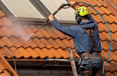 Démoussage et hydrofuge de toiture à Lalandelle
